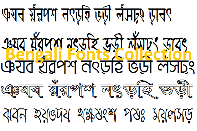 bijoy bangla font free download for mac